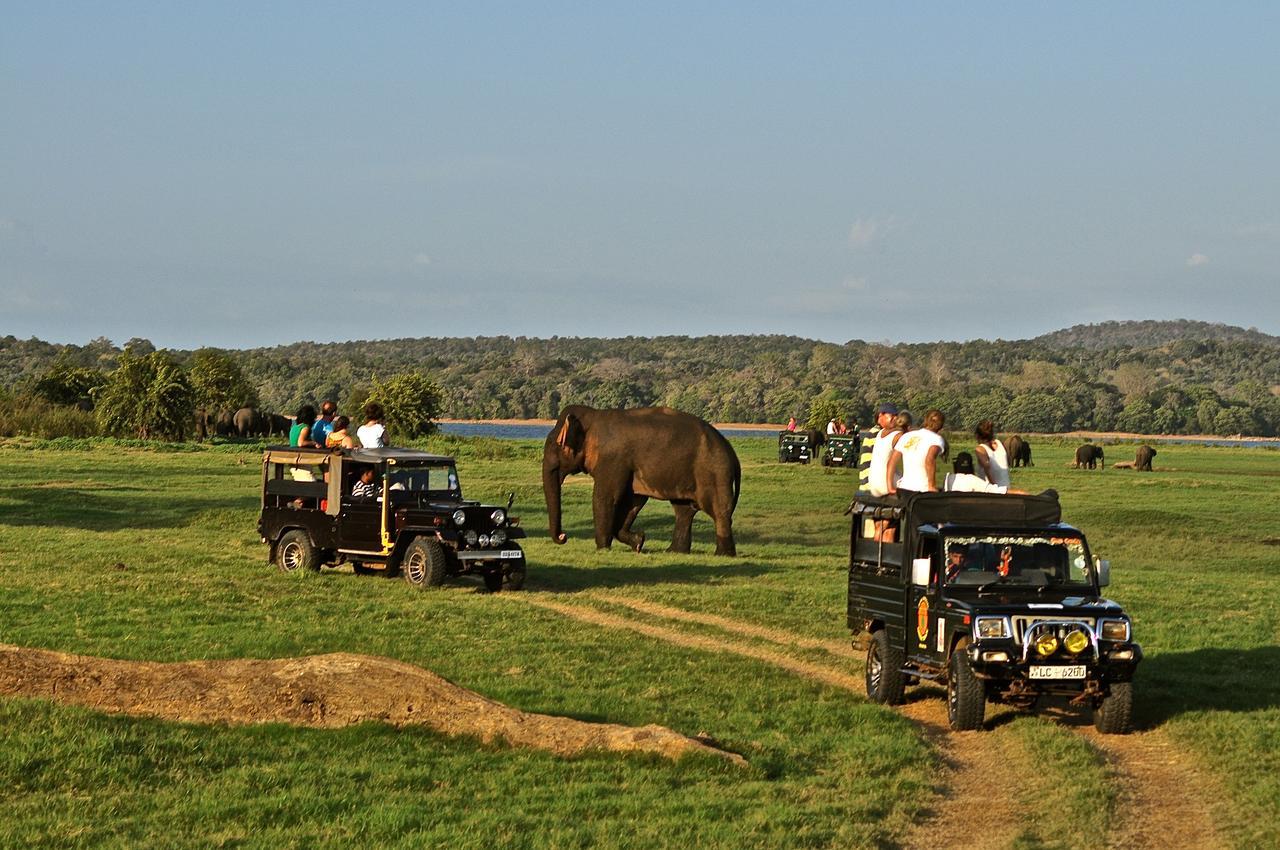 Kumbukgaha Villa Sigiriya Dış mekan fotoğraf